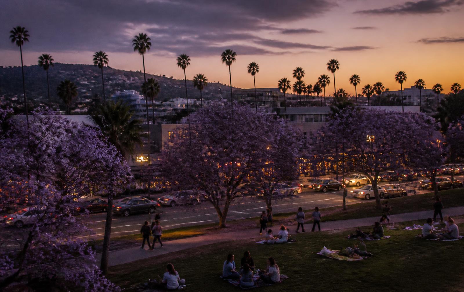 Hollywood Cluster neighborhood context in Greater Los Angeles
